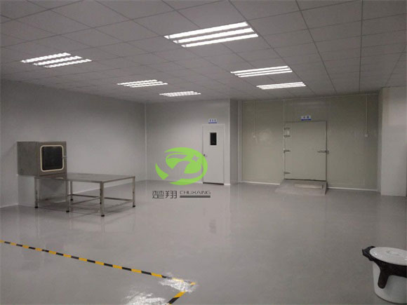 郴州福鵝食品麻豆成人在线观看视频車間裝修工程(圖7)