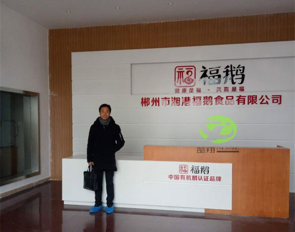 郴州福鵝食品麻豆成人在线观看视频車間裝修工程(圖2)