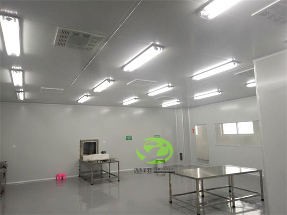 郴州福鵝食品麻豆成人在线观看视频車間裝修工程(圖4)