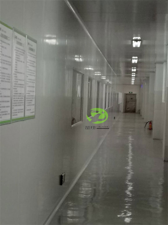 郴州福鵝食品麻豆成人在线观看视频車間裝修工程(圖10)